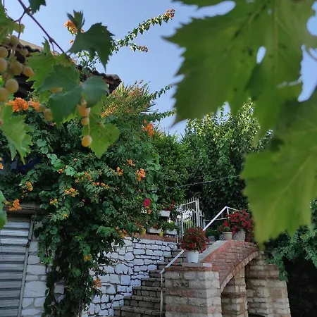 Joanna&mattheo Sarandë