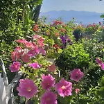 Joanna&mattheo 3*